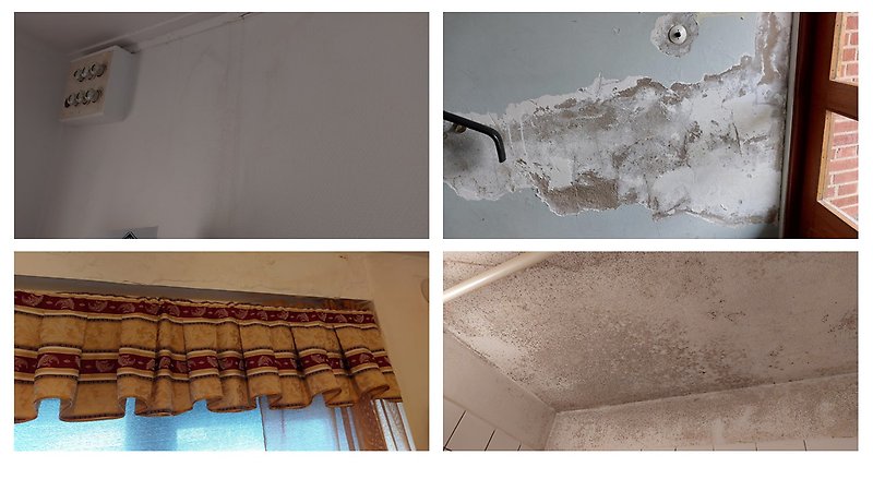 Fyra bilder som visar mögel, övermålade ventiler och fuktkador i lägenheter och trapphus.