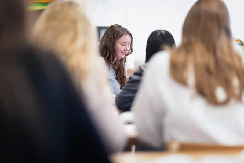 en eles om sitter i ett klassrum