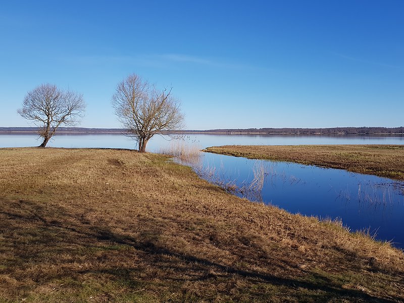 Hovdalaåns utlopp i Finjasjön.