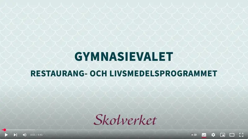 Film om programmet, klicka för att visa på Youtube